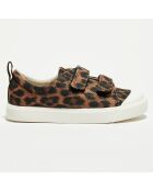 Sneakers City Geo marron/noir