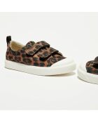 Sneakers City Geo marron/noir