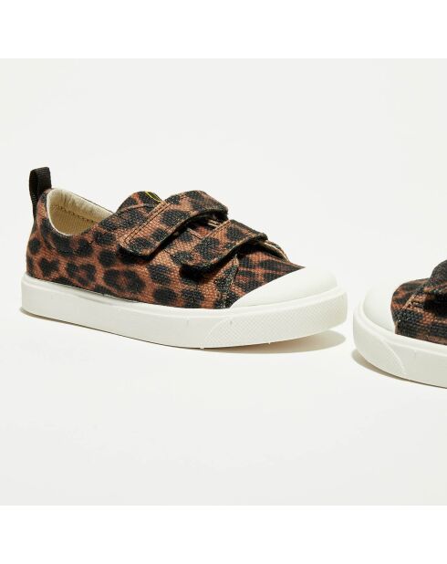 Sneakers City Geo marron/noir