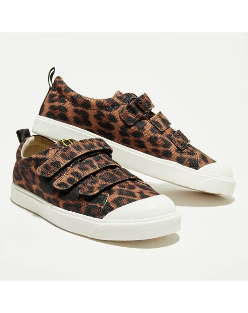 Sneakers City Geo marron/noir