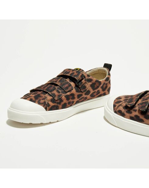 Sneakers City Geo marron/noir