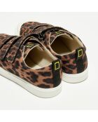 Sneakers City Geo marron/noir