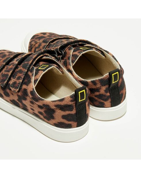 Sneakers City Geo marron/noir