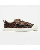 Sneakers City Geo marron/noir