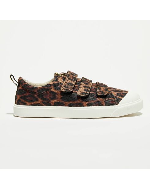 Sneakers City Geo marron/noir