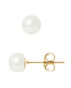 Boucles d'oreilles Puces en Or jaune & Perles d'Eau Douce boutons blanc naturel Ø 6-7 mm