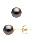 Ohrstecker aus Gelbgold mit runden Tahitiperlen Ø 7-8 mm