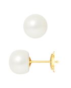 Boucles d'oreilles Puces Prestige en Or jaune & Perles d'Eau Douce boutons blanc naturel Ø 8-9 mm