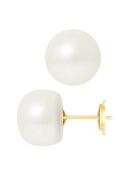 Prestige-Ohrstecker aus Gelbgold und Süßwasserperlen mit naturweißen Knöpfen, Ø 11-12 mm