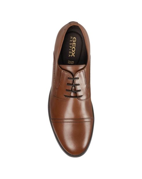 Derbies en Cuir Domenico cognac
