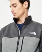 Veste Apex Bionic gris clair/gris foncé