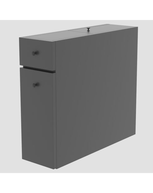 Meuble de cabinet Calencia  anthracite - 19x55x60 cm