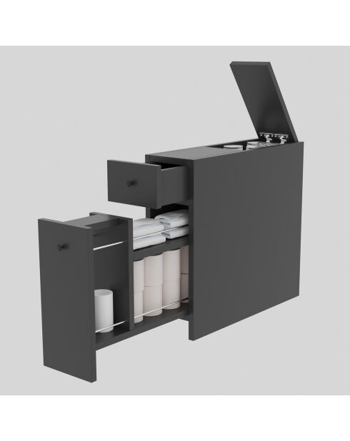Meuble de cabinet Calencia  anthracite - 19x55x60 cm