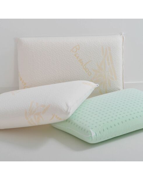 2 Oreillers Mémoire de forme BIO blancs - 40x60 cm