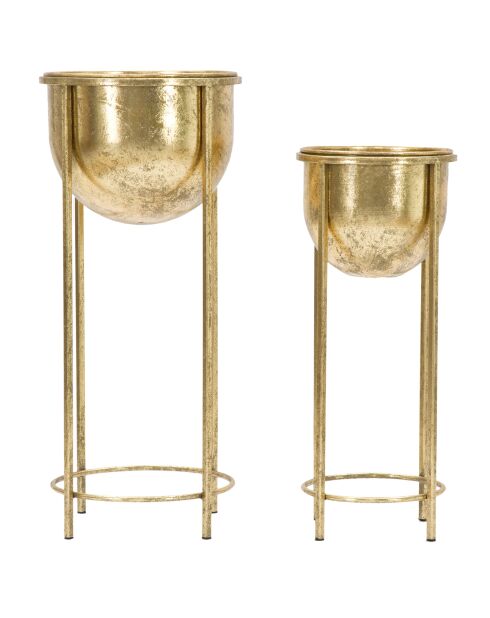 2 Pots de fleur sur pieds dorés