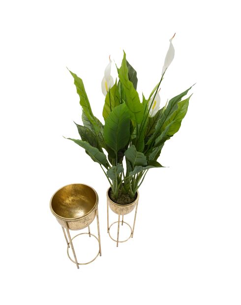2 Pots de fleur sur pieds dorés