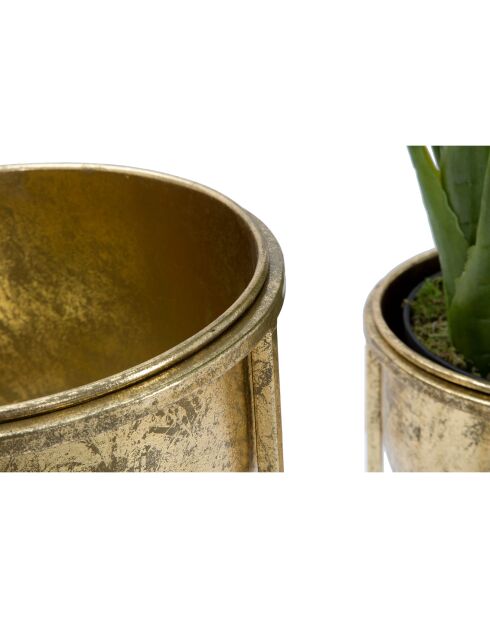 2 Pots de fleur sur pieds dorés