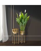 2 Pots de fleur sur pieds dorés