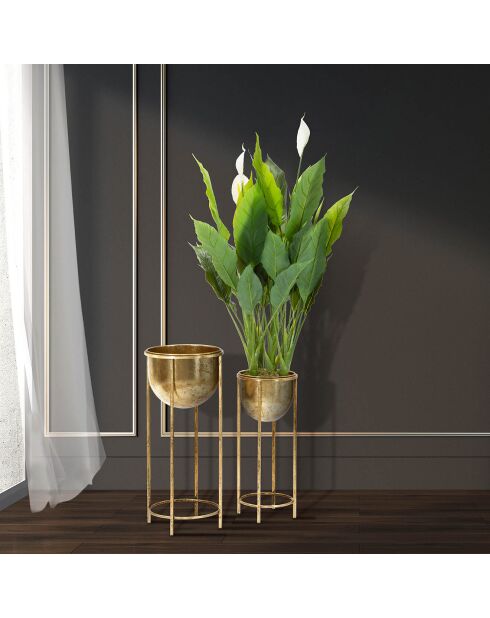 2 macetas con patas doradas