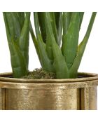 2 Pots de fleur sur pieds dorés