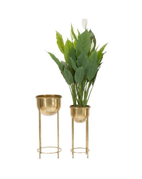 2 Pots de fleur sur pieds dorés