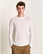 Pull 100% Laine Dapil écru