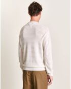 Pull 100% Laine Dapil écru