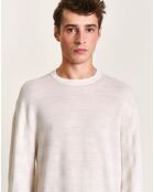 Pull 100% Laine Dapil écru