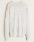 Pull 100% Laine Dapil écru
