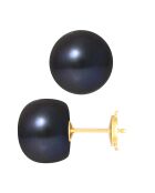 Prestige oorbellen in geelgoud en zoetwaterparels met zwarte tahiti-knopen Ø 11-12 mm