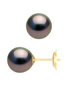 Prestige-Ohrringe aus Gelbgold und runden Tahitiperlen Ø 9-10 mm
