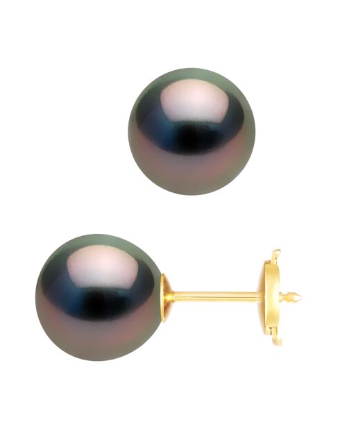 Prestige oorbellen in geelgoud en ronde Tahitiaanse parels Ø 9-10 mm