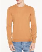 Pull 100% Cachemire Aron col rond beige