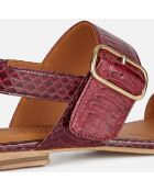 Sandales en Cuir python Rosa bordeaux foncé