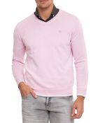 Pull Pol rose