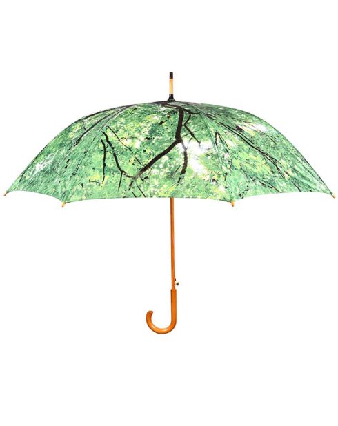 Grand parapluie solide avec jolie imprimé forêt  vert