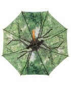 Grand parapluie solide avec jolie imprimé forêt  vert