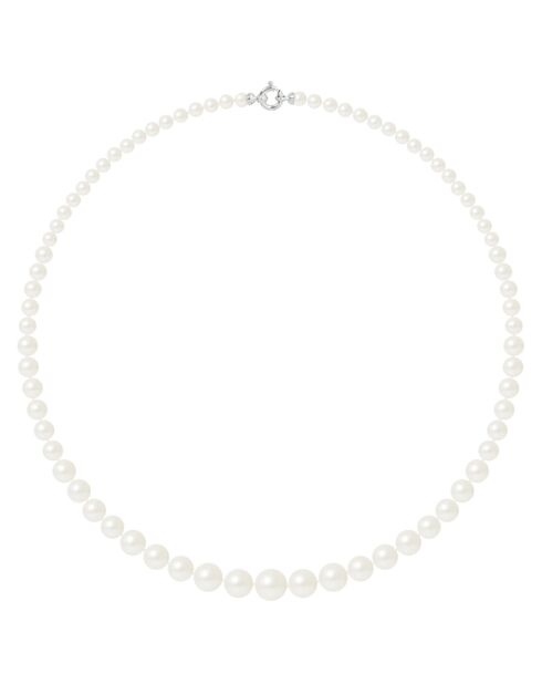 Halskette Rang aus Weißgold, natürliche weiße halbrunde Süßwasserperlen