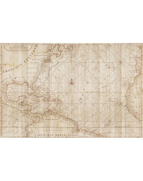 Tapis vinyle Old map beige - 100x133 cm