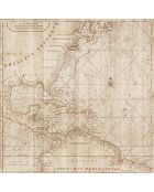 Tapis vinyle carré Old map beige - 120x120 cm