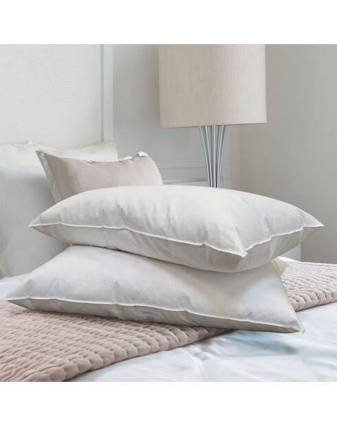 Oreiller Duvet Natura banc - 60x60 cm