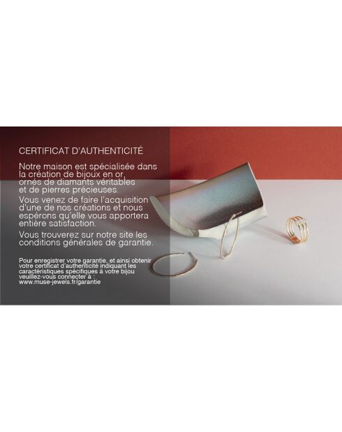 Aïfé Ohrringe 0,05 Karat weiße Diamanten und 0,13 Karat Rotgold schwarze Diamanten