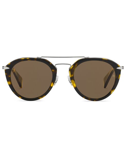 Lunette de soleil Femme havane vert