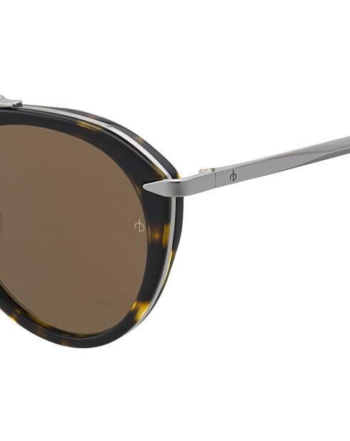 Lunette de soleil Femme havane vert