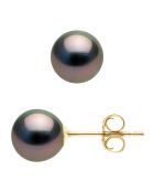 Ohrringe aus Gelbgold und runden Tahitiperlen