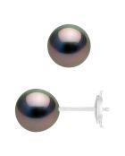 Prestige-Ohrringe aus Weißgold und runden Tahitiperlen Ø 8,5-9 mm
