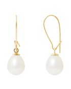 Süßwasserperlenohrringe aus Gelbgold und natürlicher weißer Birne