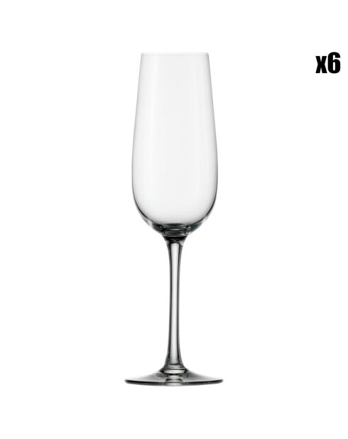 6 Flûtes à Champagne Weinland transparentes - 20 cl