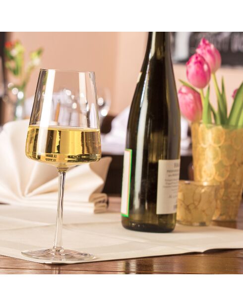 6 Verres à vin Power transparents - 40 cl
