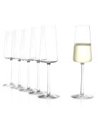 6 Flûtes à Champagne Power transparentes - 24 cl